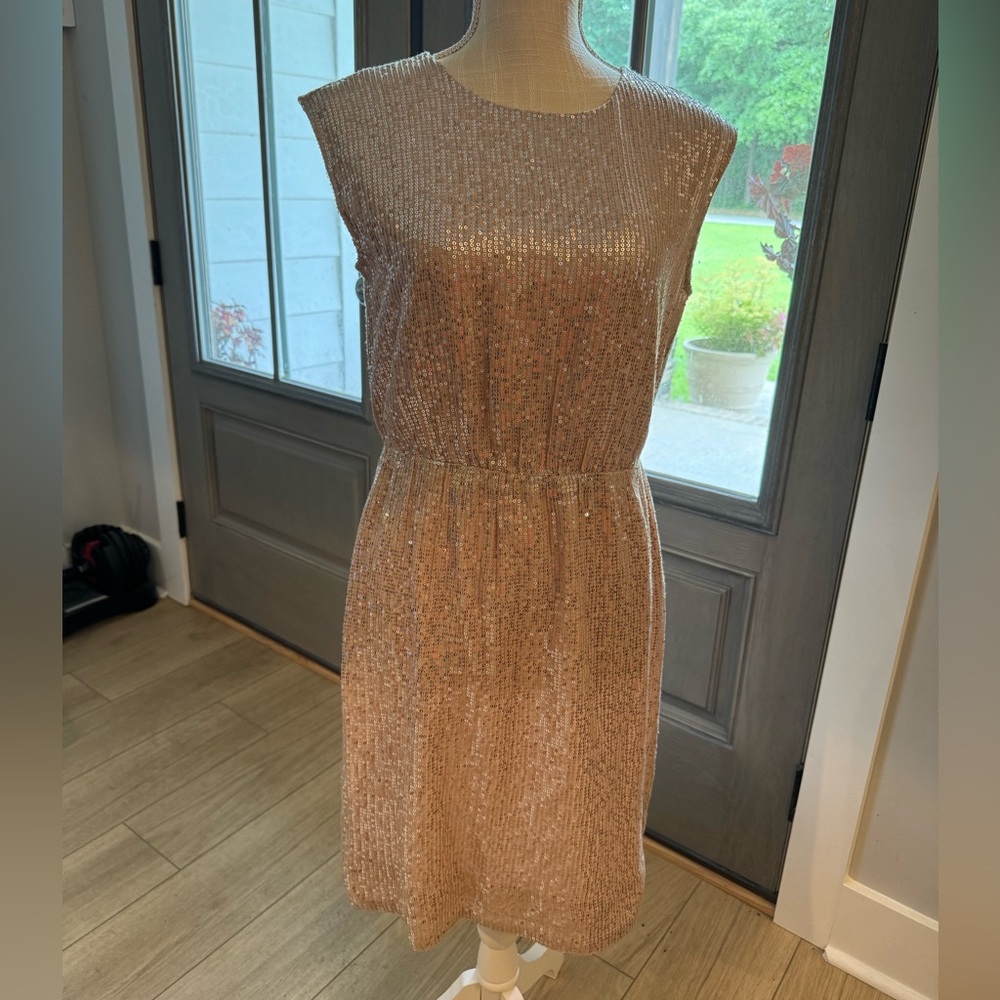J. Crew Sequin Dress - Picture 1 of 2